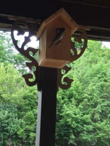 Bird Feeder at Connecticut Assisted Living Facility